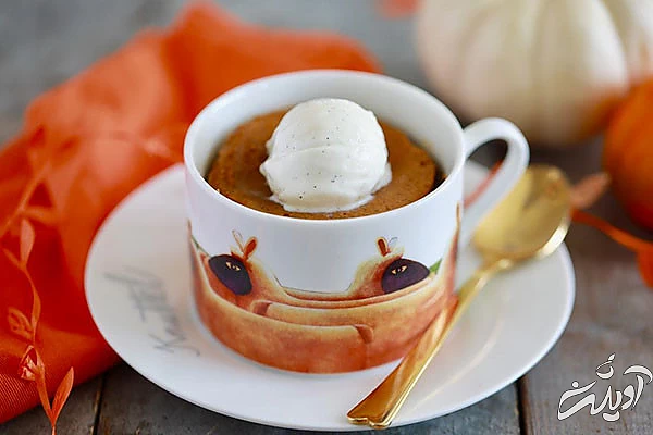 انواع دستورالعمل‌های آشپزی در ماگ برای آنهایی که مایکروفر دارند